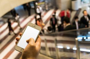 IT官方APP，引领企业数字化转型的新引擎  第1张