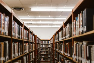 河南科技大学，探索其英语简称及其教育意义  第1张
