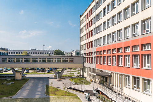 河南科技大学应用工程学院分数线解析及报考指南  第1张