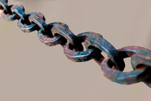 HIIT训练法，国外健身热潮的兴起与科学依据  第1张
