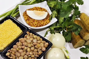 科普一点生活常识：居家安全、饮食健康、环境卫生、应急处理全攻略，让生活更安心便捷