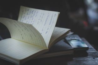 百科全书科普书籍推荐：为孩子挑选最适合的知识宝库，轻松点燃学习热情